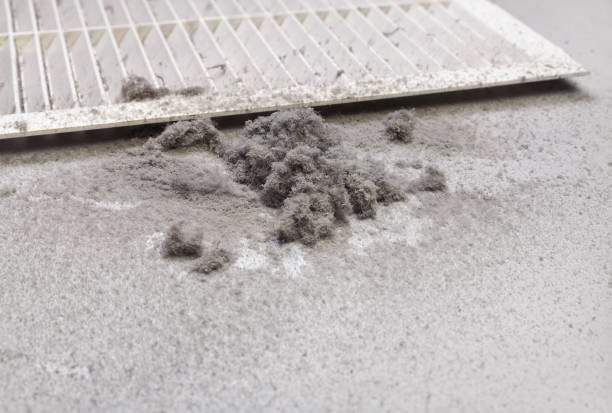 Best Affordable HVAC Duct Cleaning  in Pocahontas, AR
