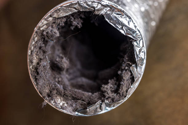 Best Residential Air Duct Cleaning  in Pocahontas, AR