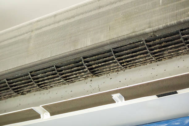Best Commercial Air Duct Cleaning  in Pocahontas, AR