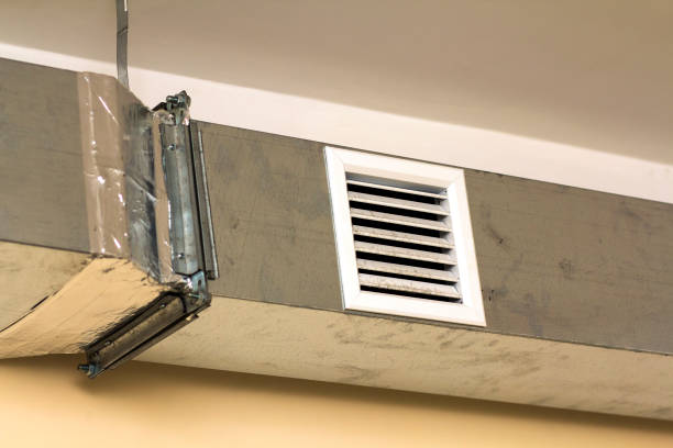 Best Duct Cleaning for Homes  in Pocahontas, AR